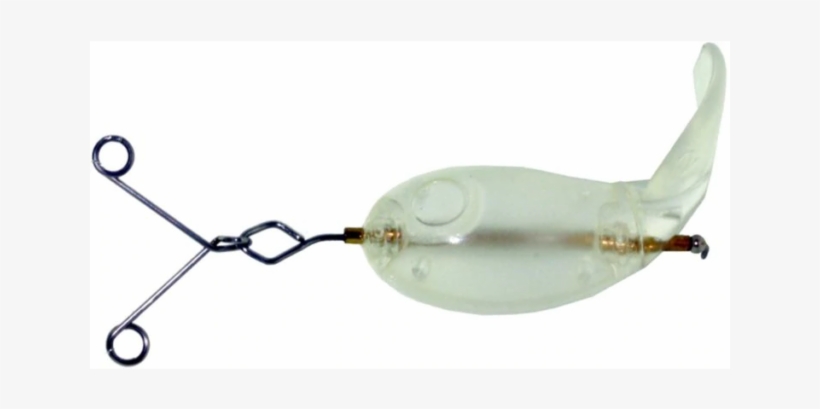 River2sea Plopper Trailer Lure Accessory For Bass Fishing - Fish, transparent png #9596470