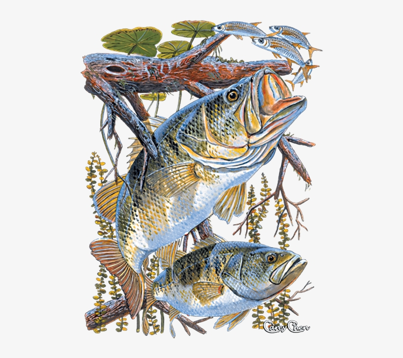 Two Bass - T-shirt, transparent png #9596510