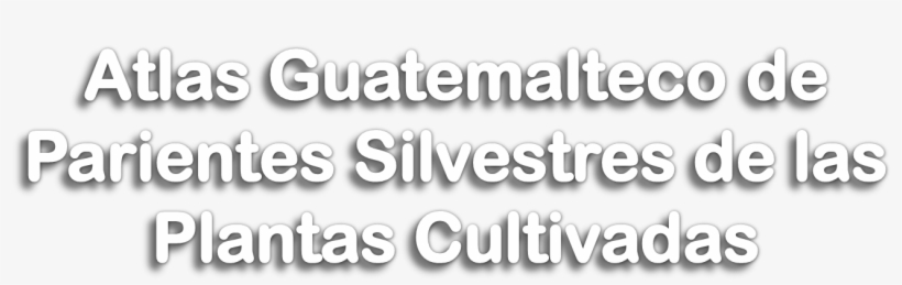 09 Pm 1063 Titulo Old 2/13/2007 - Angeles Map, transparent png #9597555