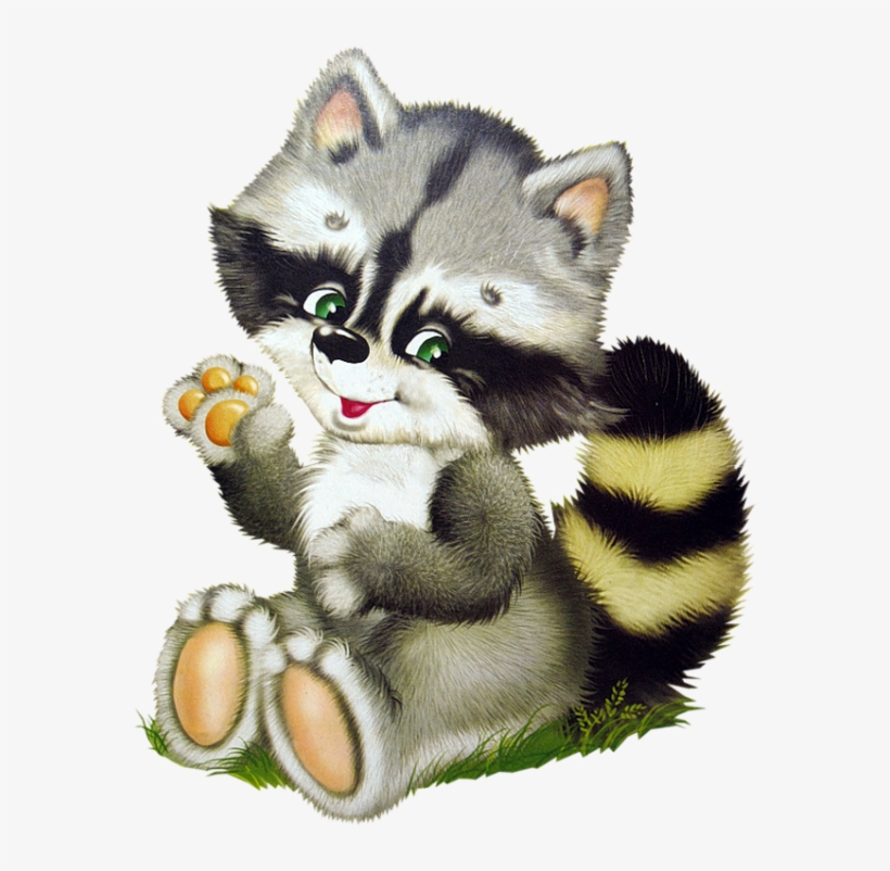 Яндекс - Фотки - Клипарт Енот, transparent png #9598323