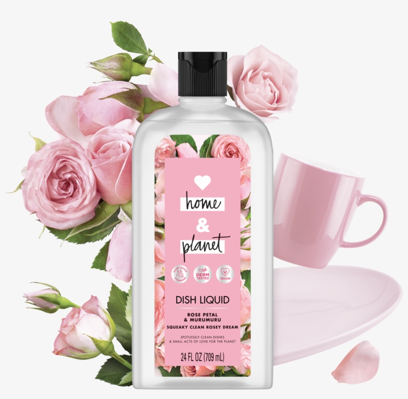 Garden Roses, transparent png #9598832