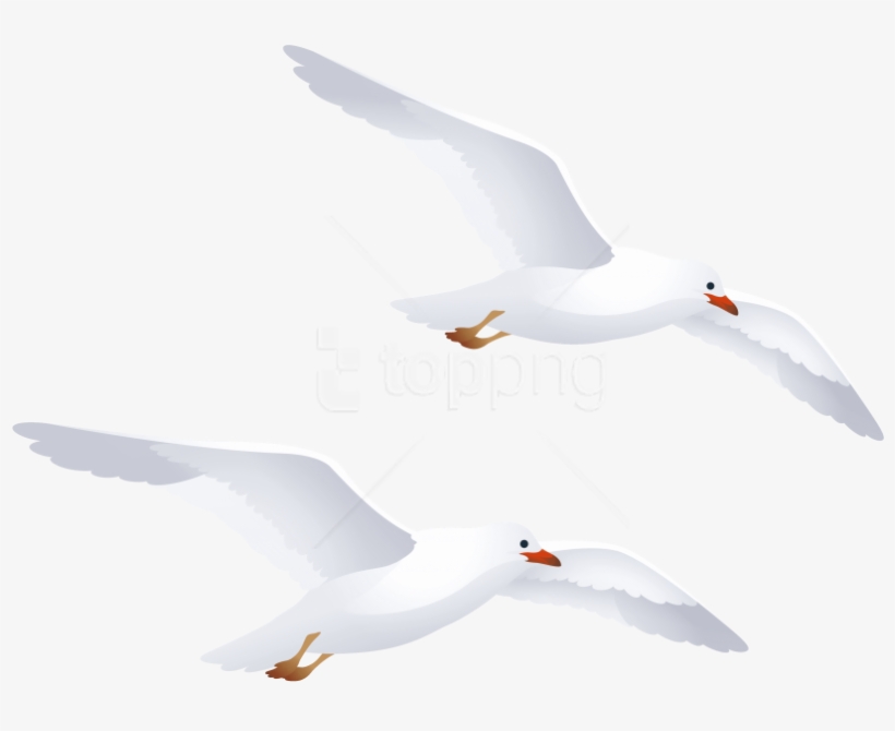 Best Seagulls Png - White Seagull Silhouette Png, transparent png #9598833
