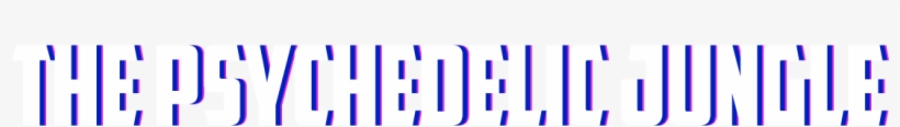 Picture, transparent png #9599181