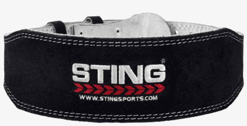 Sting Configurable Sting 6" Eco Leather Lifting - Weight Lifting Belts Nz, transparent png #9599289