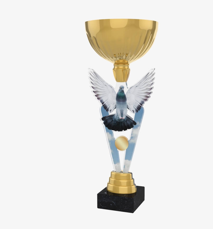 London Pigeon Racing Cup Trophy - Table Football Trophy, transparent png #9599688