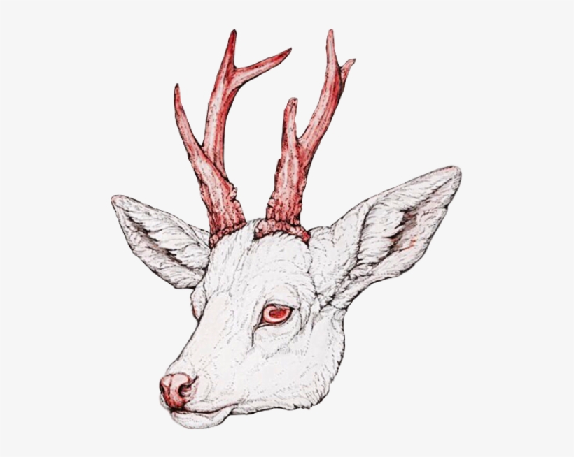 Drawn Antler Eye - Drawing, transparent png #960370