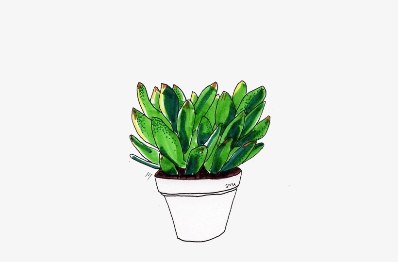 ☁ Transparents ☁ - Plant Aesthetic Tumblr Drawing, transparent png #960653