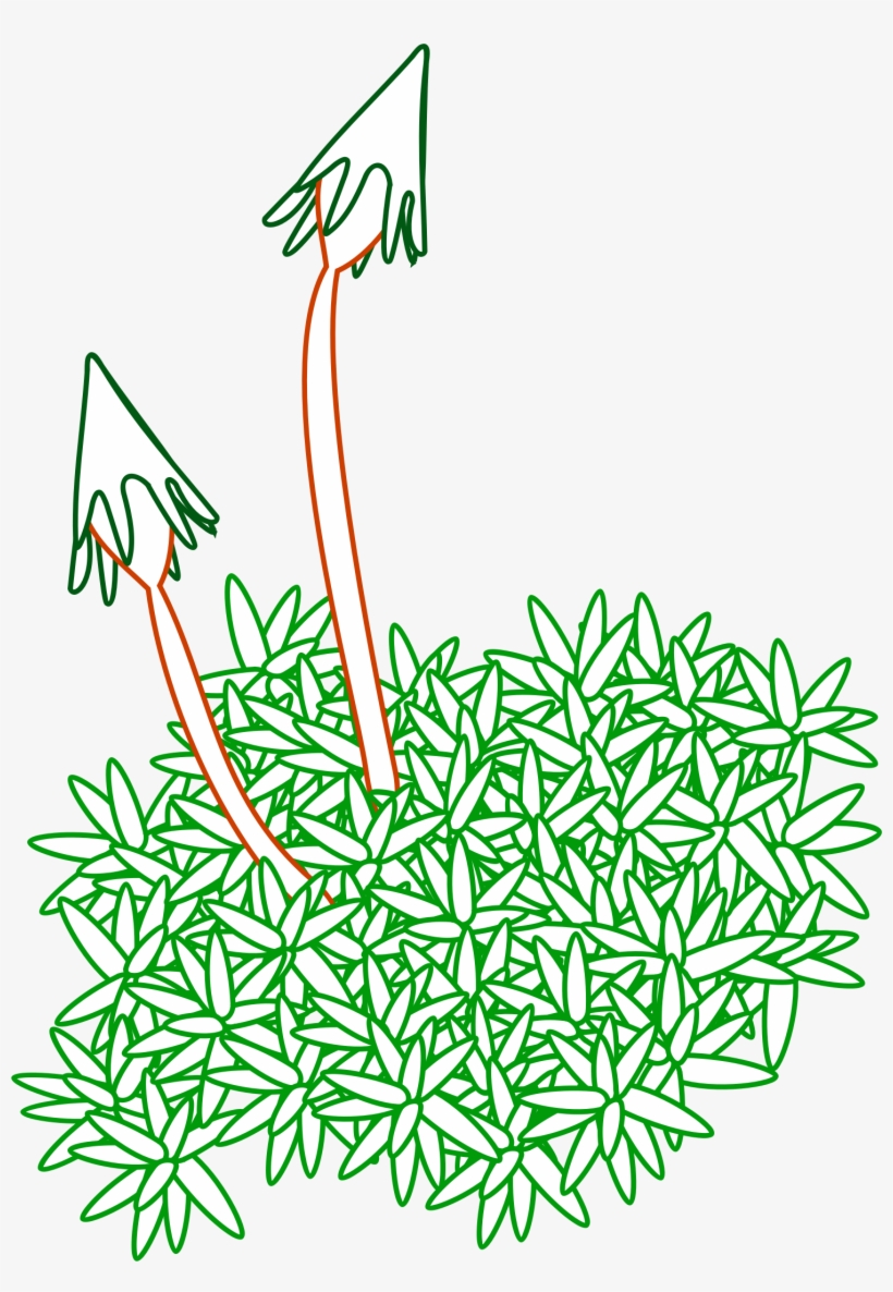 Clipart - Simple Drawing Of Nature, transparent png #960983