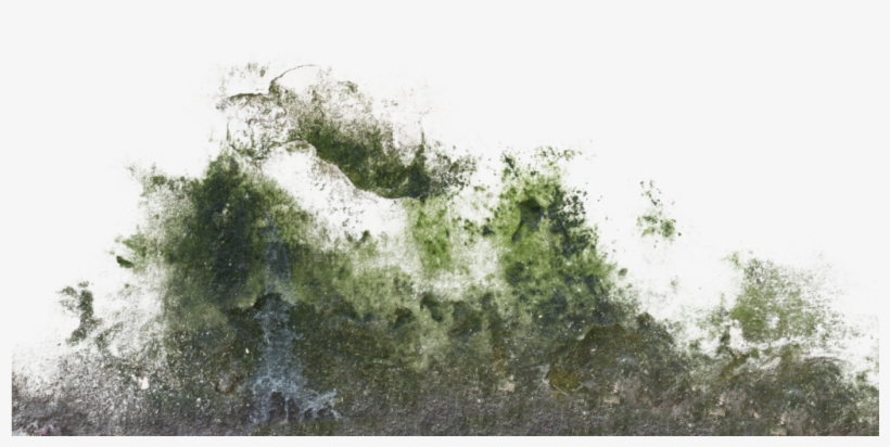 Decalbottom0027 1 S Decalbottom0029 1 S Decalbottom0033 - Moss Texture Png, transparent png #961073