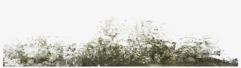 Decalbottom0017 1 S Decalbottom0018 1 S Decalbottom0022 - Tree, transparent png #961163