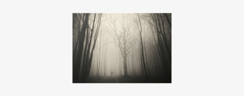 Man Walking Past A Huge Old Tree In A Dark Spooky Forest - Tree, transparent png #961292