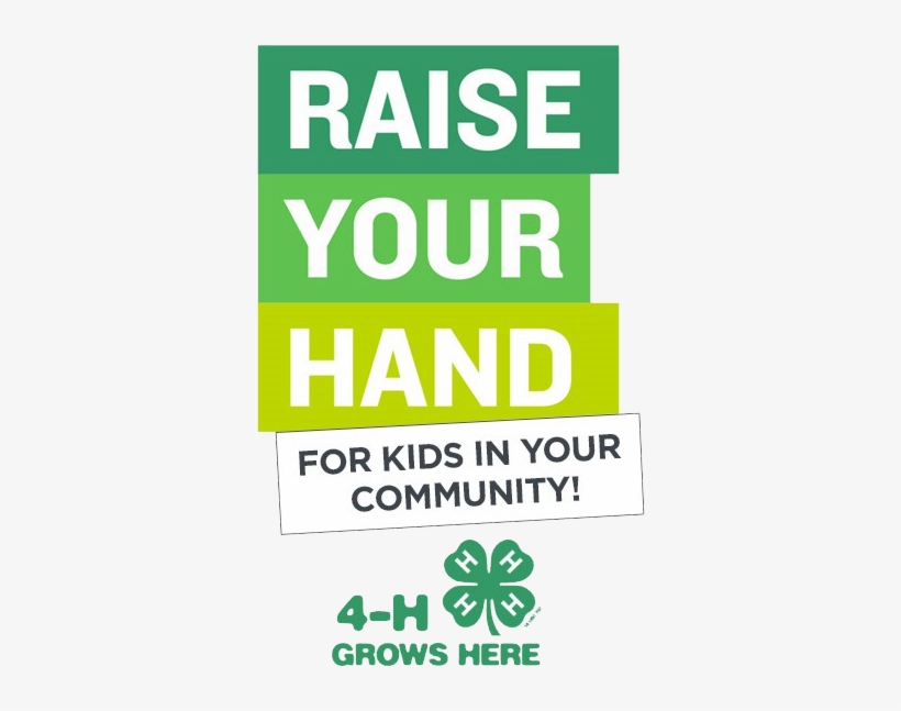 Raise Your Hand 4-h Promotion - 4h Alumni Pin Pinback Button Youth Club, transparent png #961627