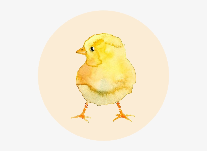 Pose De Dreads - Chicken, transparent png #962087