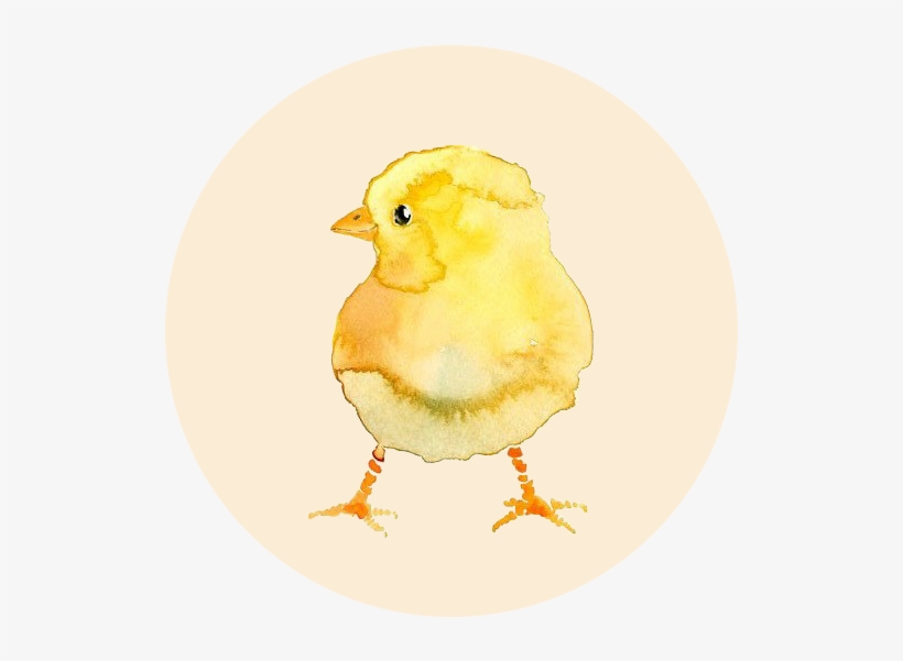 Pose De Dreads - Chicken, transparent png #962087