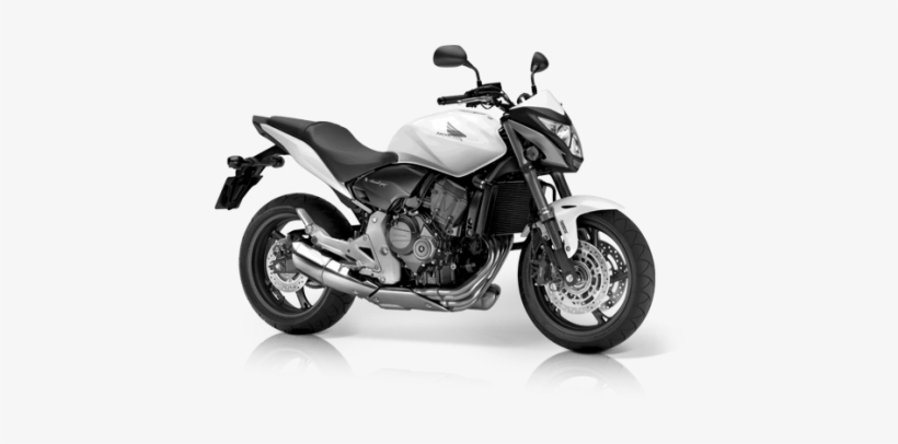 Honda Hornet Cb 600f Hornet Yellow Free Transparent Png Download Pngkey Honda Hornet Cb 600f Hornet Yellow Free Transparent Png Download Pngkey