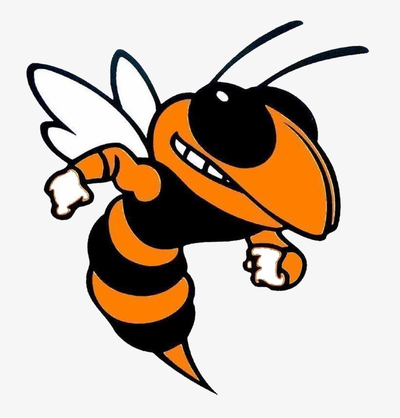 Btw Hornets, transparent png #962869