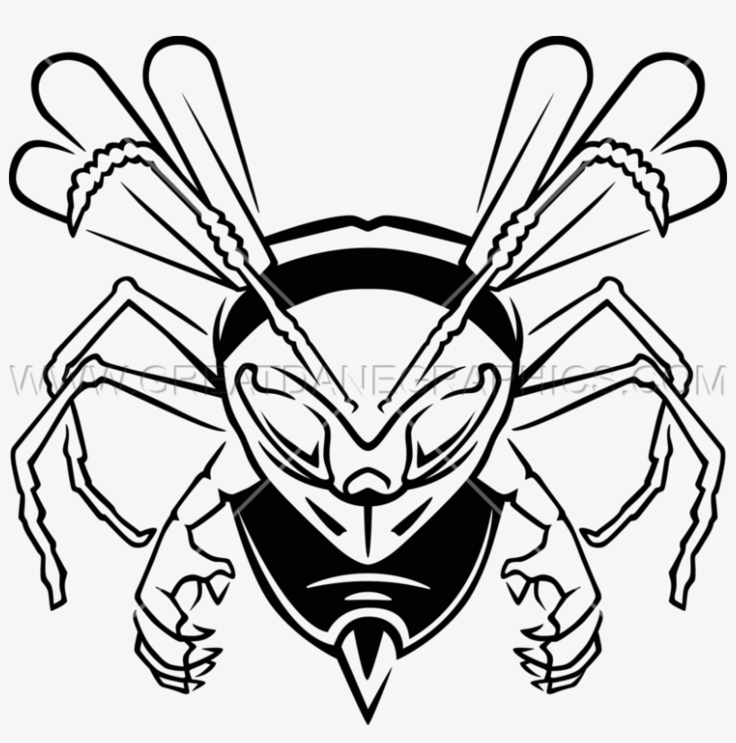 Hovering Hornet - Drawing, transparent png #962887