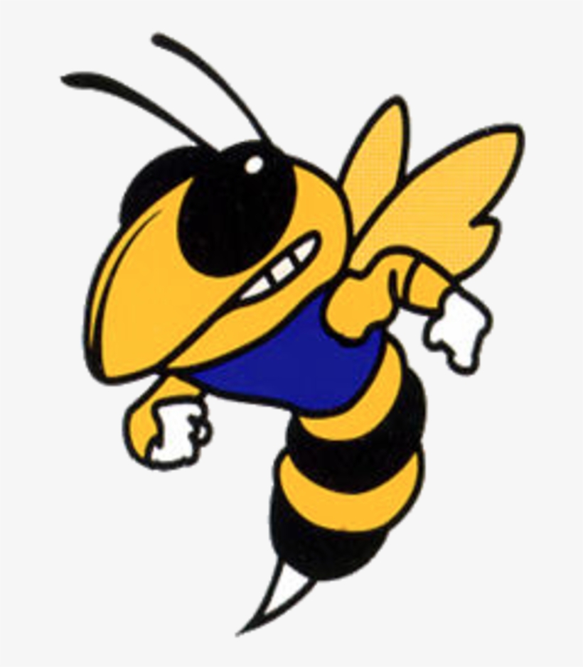 Clip Free Download Cook Huge Freebie - Big Lake High School Logo, transparent png #962914