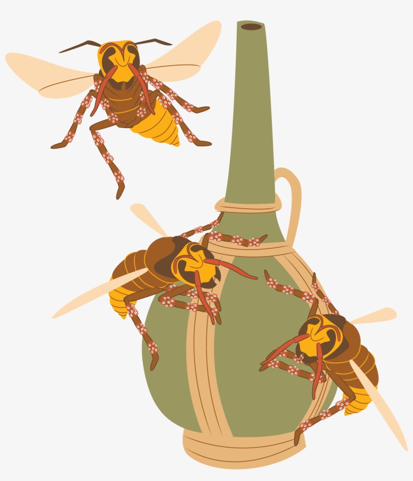 Charlotte Hornets, transparent png #962998