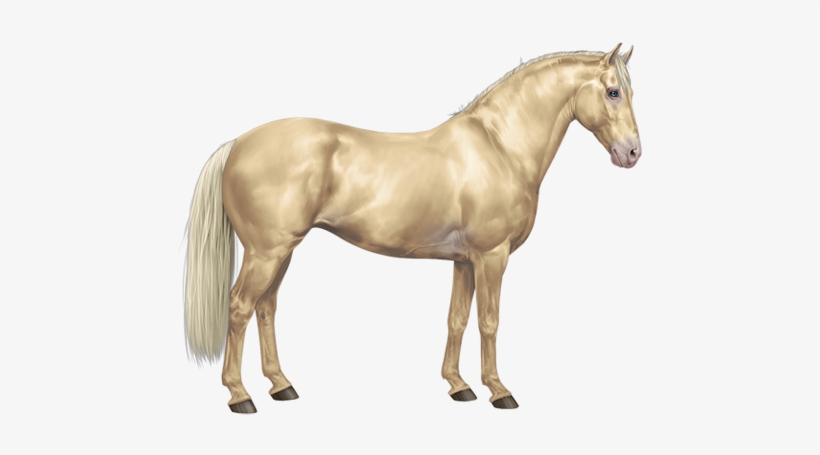 Currents - Ivory Amber Champagne Horse, transparent png #963919