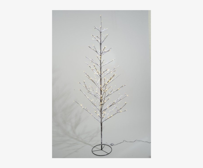 Kaemingk Led Christmas / Xmas Tree With Snow - Kaemingk Led Artificial Christmas Tree & Snow 120cm, transparent png #964315