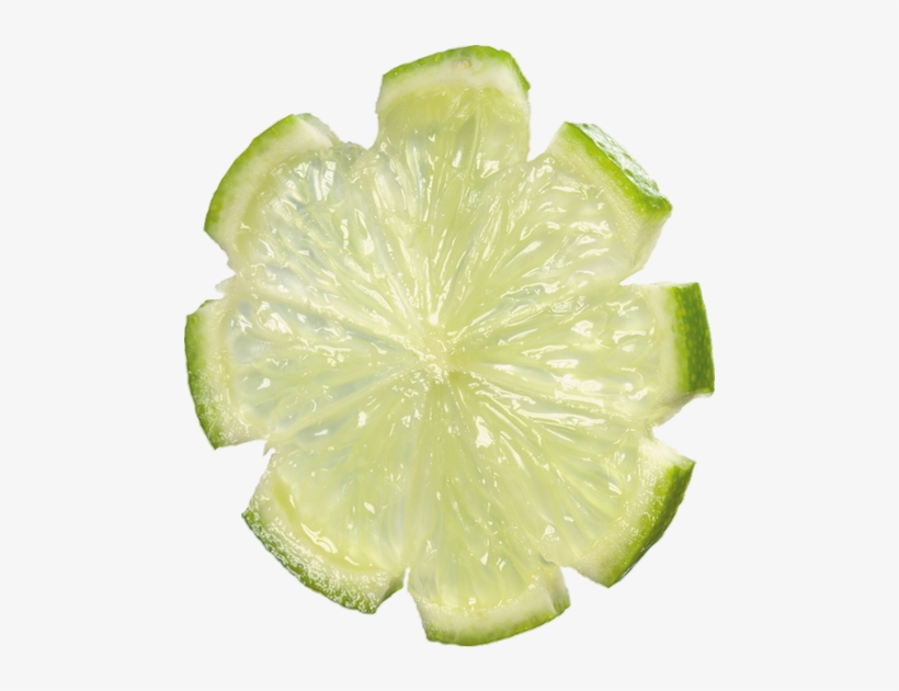 Tube Tranche Fruit Pour Créations, transparent png #964821