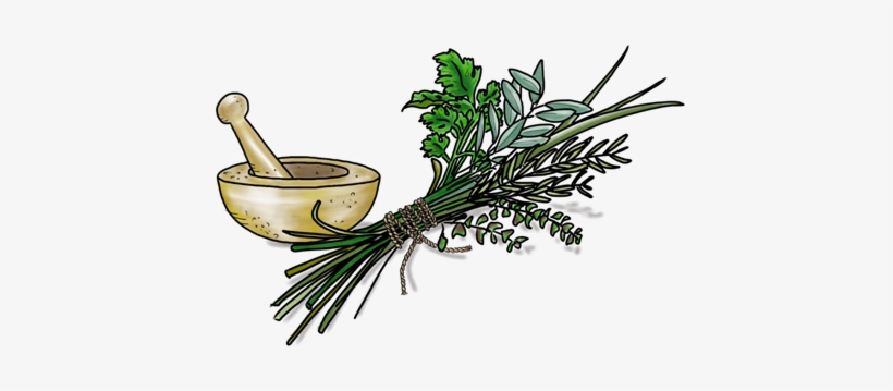 Tuscan Herb - Parsley, transparent png #964846