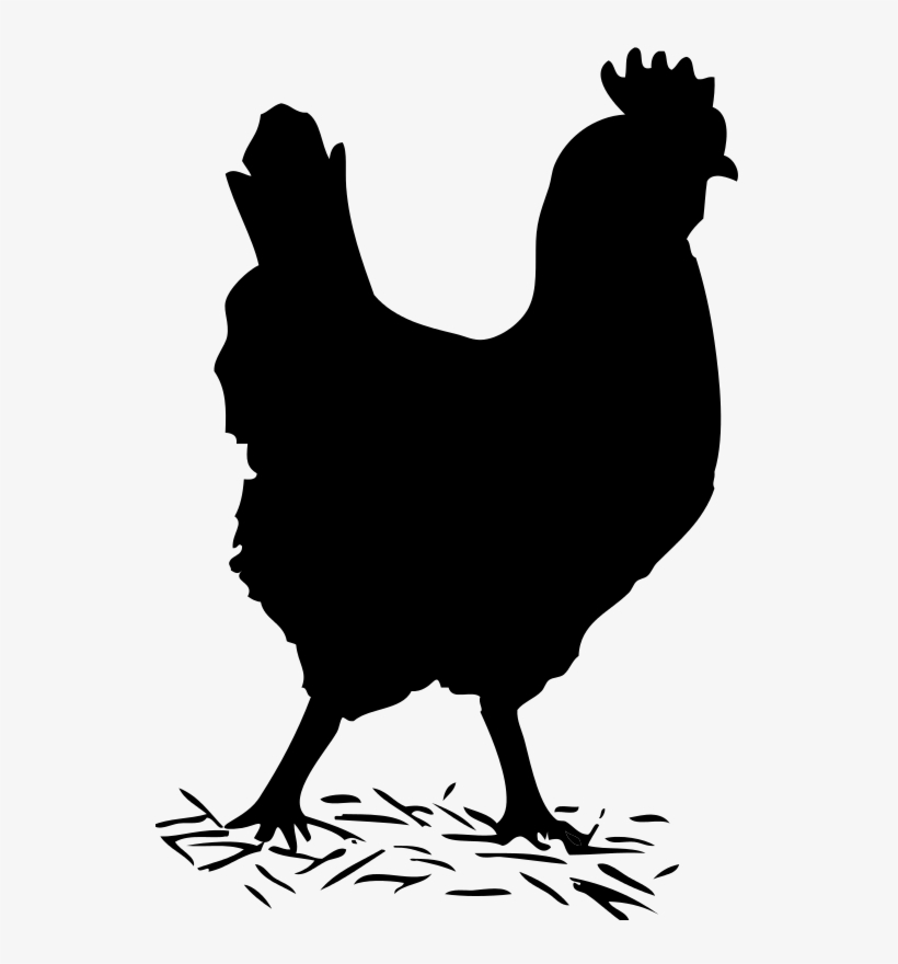 Chicken Clipart Shadow - Chicken Clipart Black And White, transparent png #964952