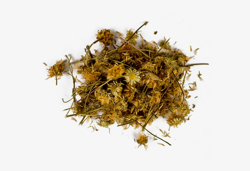 Flower, transparent png #964976