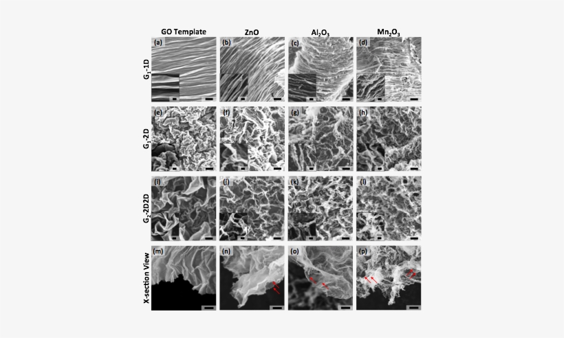 Figure 2 - - Fish, transparent png #965059