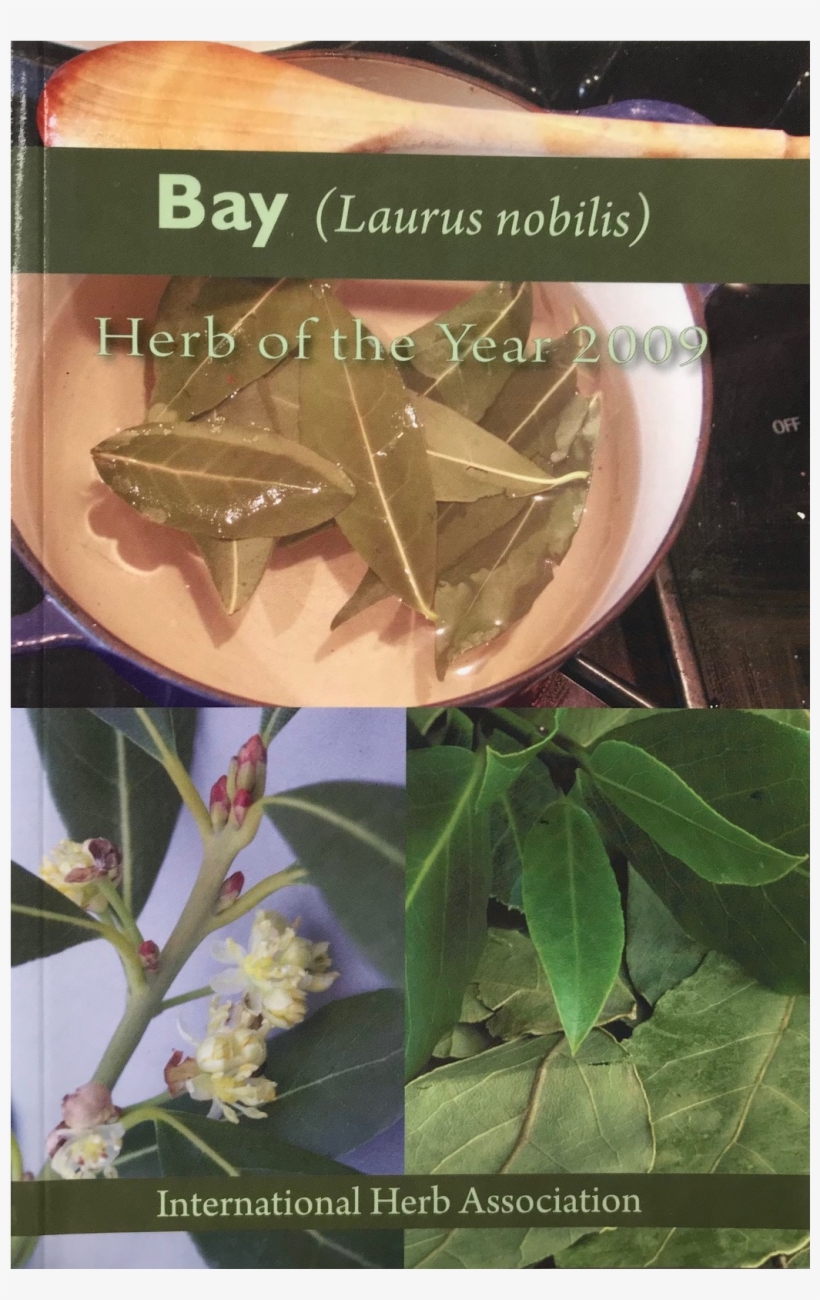 Bay 2009 Herb Of The Year™ - Datura, transparent png #965425