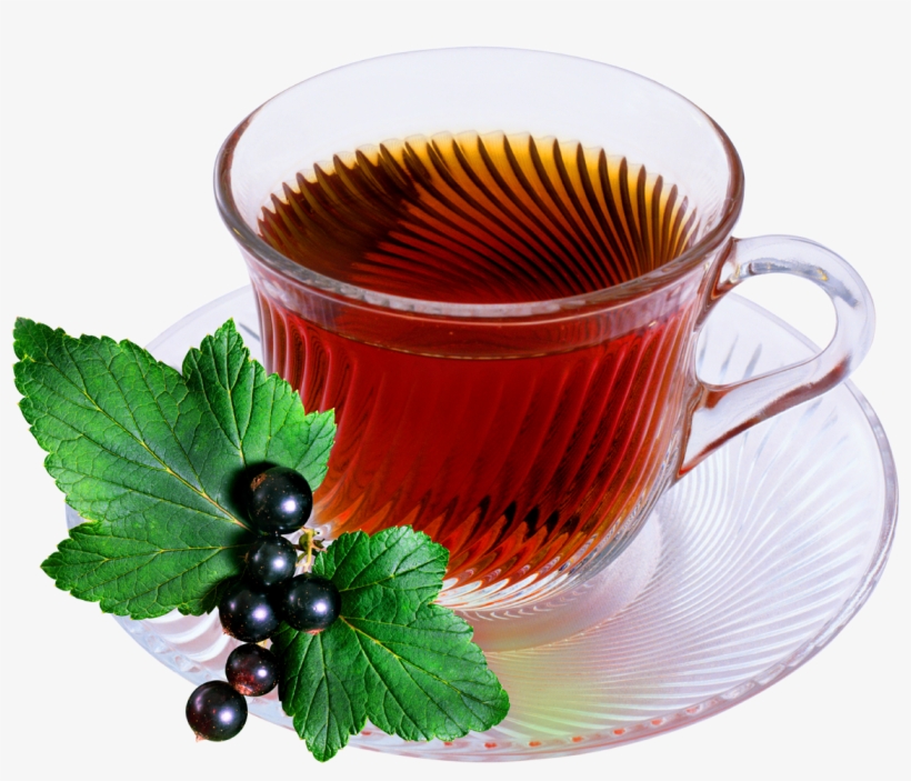 Guide Visuel De Conversation Français-anglais, transparent png #965774