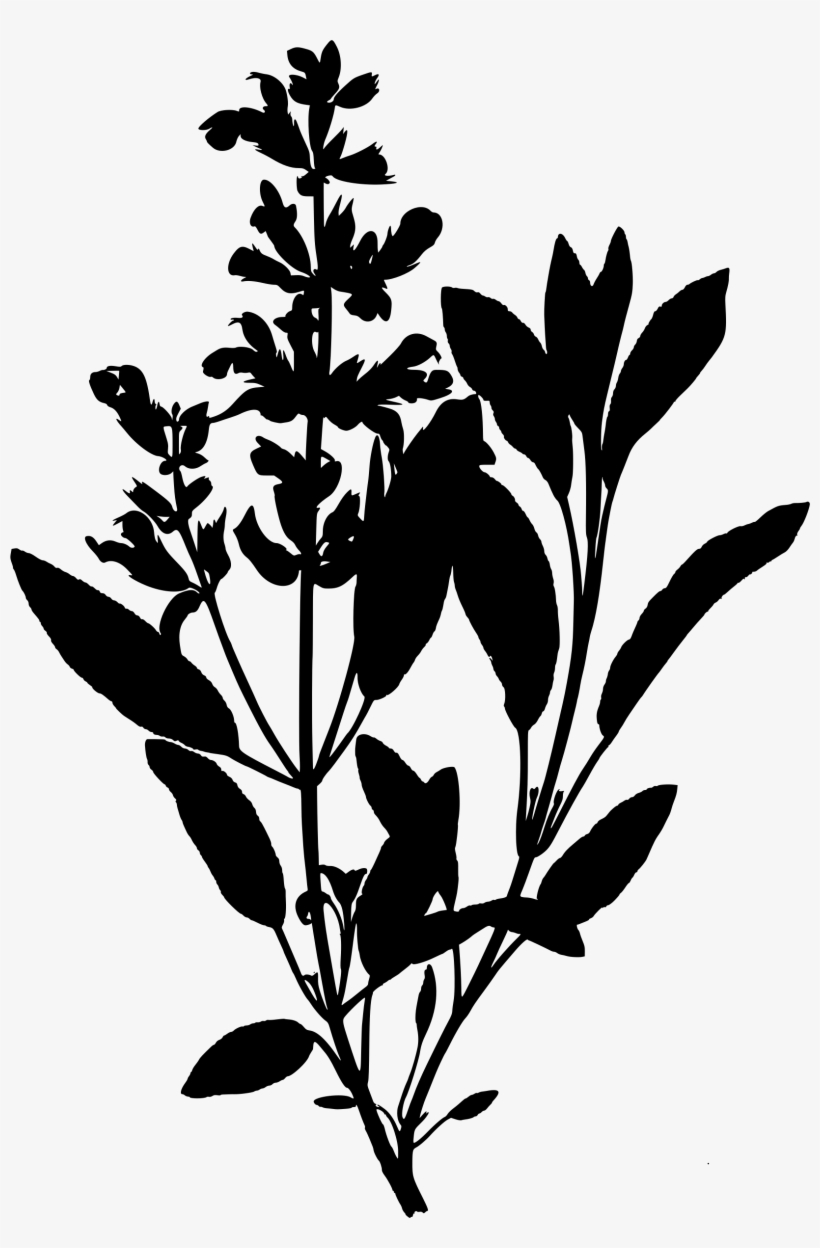 Jpg Library Clipart Sage Big Image Png - Wendy Vecchi Cling Rubber Stamps Country Garden Art, transparent png #965820