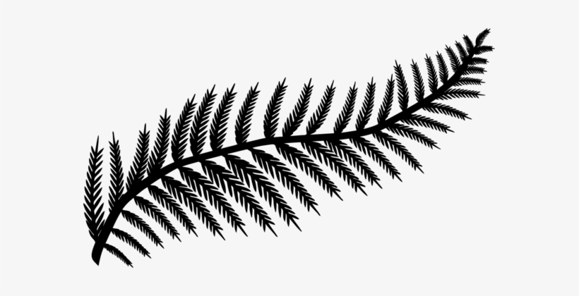Leaf Fern Frond Silhouette Drawing - Palm Branch Png Silhouette, transparent png #965838