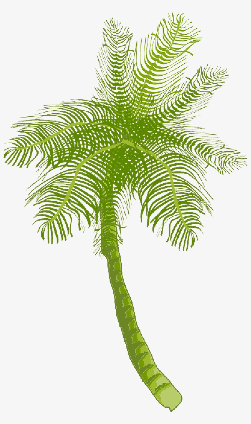 Tree, Ocean, Summer, Vacation, Beach, Palm Leaf - Coconut Tree Clip Art, transparent png #965992