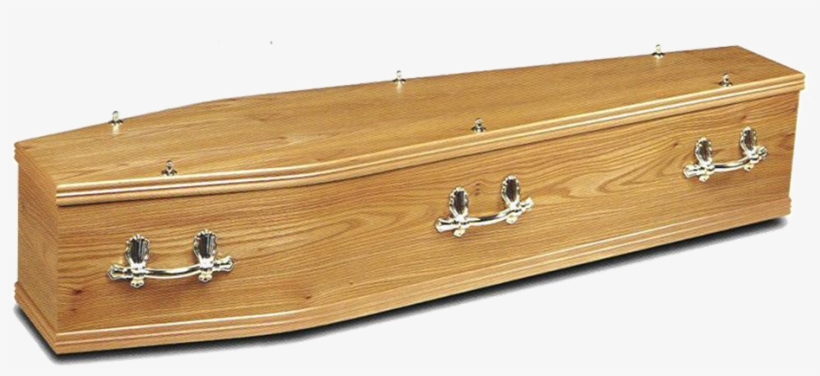 Veneered Elm - Trunk, transparent png #967059