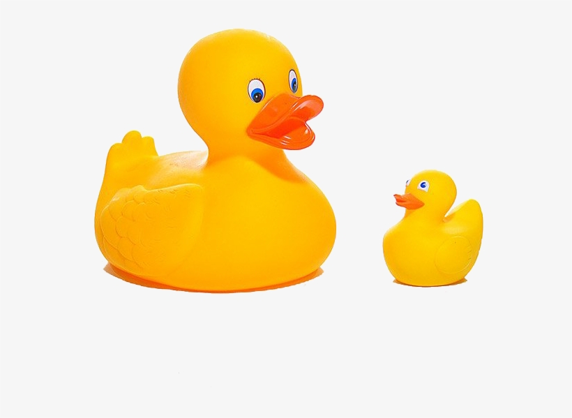 Rubber Duck, transparent png #967215