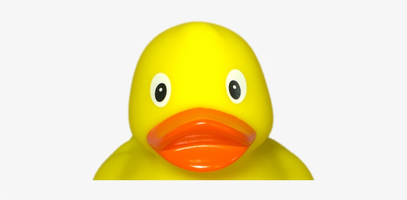 Not A Pigeon - Bath Toy, transparent png #967960