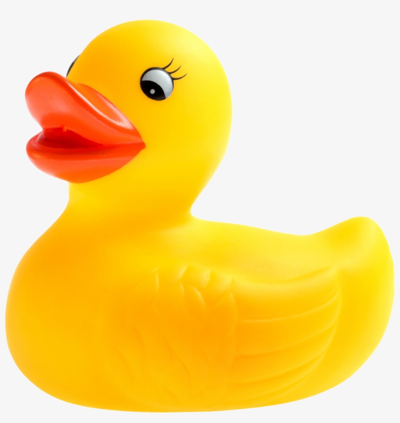 Rubber Duck, transparent png #967995