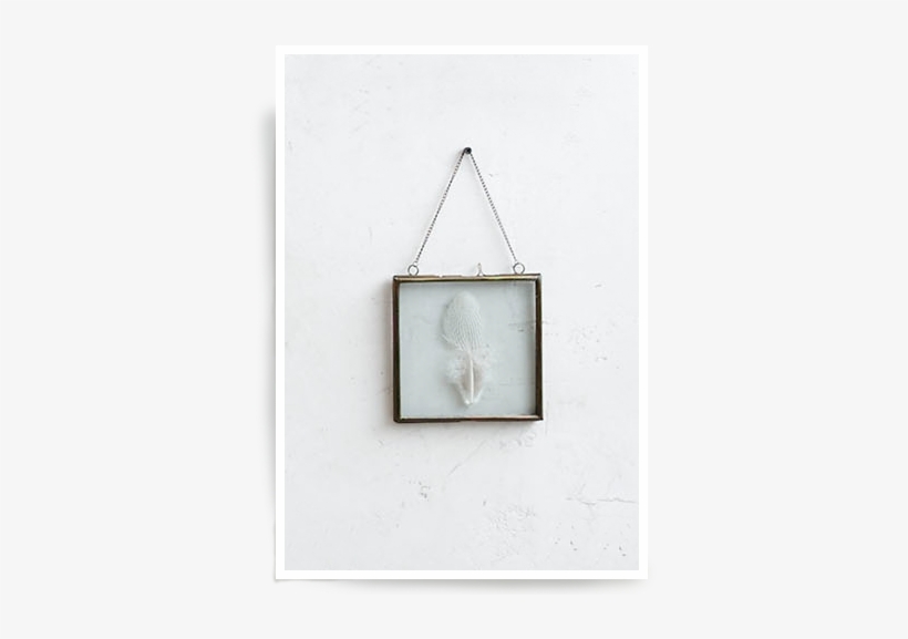Iron-edged Hanging Frames - Roost Iron Edged Hanging Frames Including Feathers, transparent png #969199