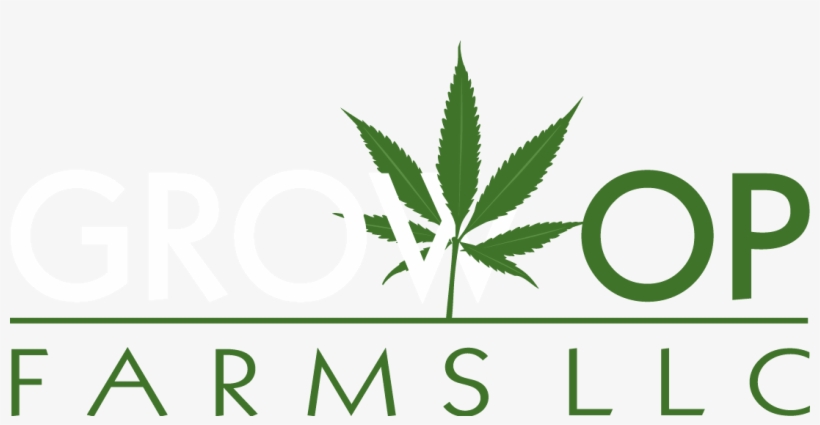 Must Be 21 Or Older - Cannaleaf-1 Shower Curtain, transparent png #969928