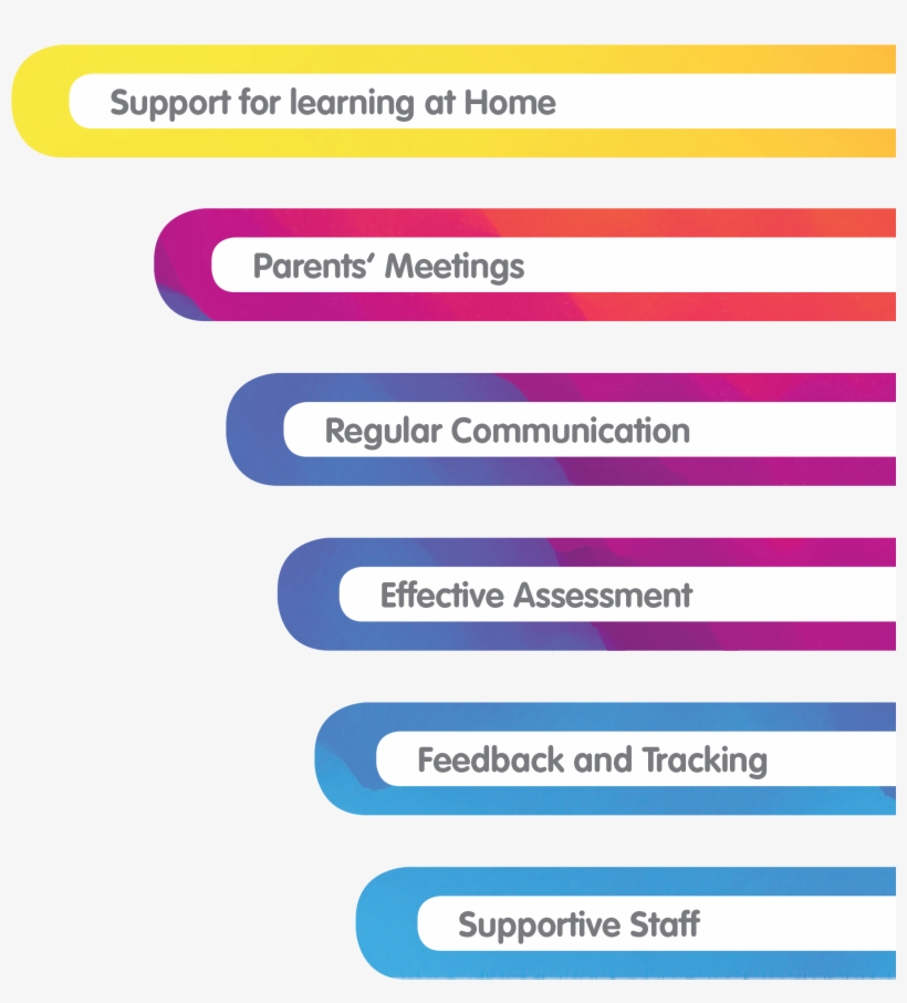 Who Is Pingu - Colorfulness, transparent png #9602541