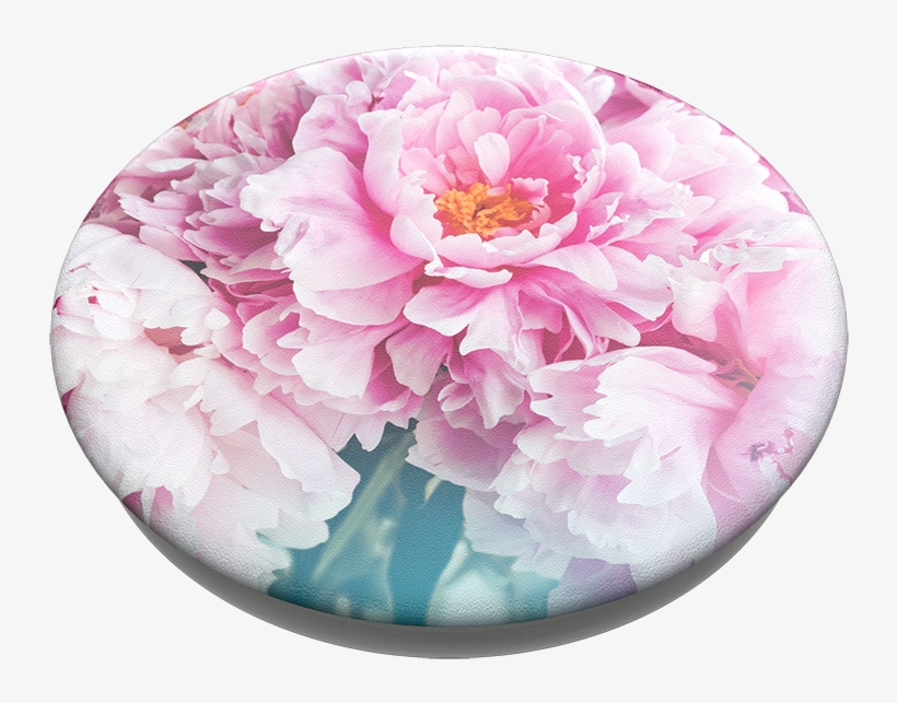 Peony, Popsockets - Common Peony, transparent png #9602678