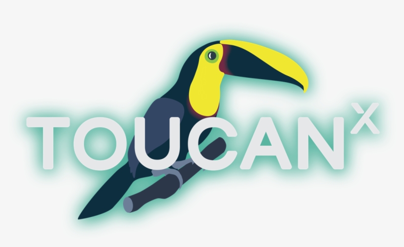 Toucan, transparent png #9604289