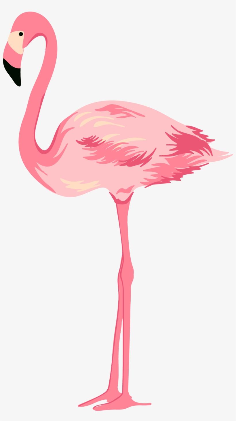1301 X 2255 8 - Flamingo Png, transparent png #9606314