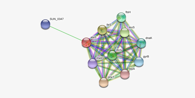 Circle, transparent png #9613195
