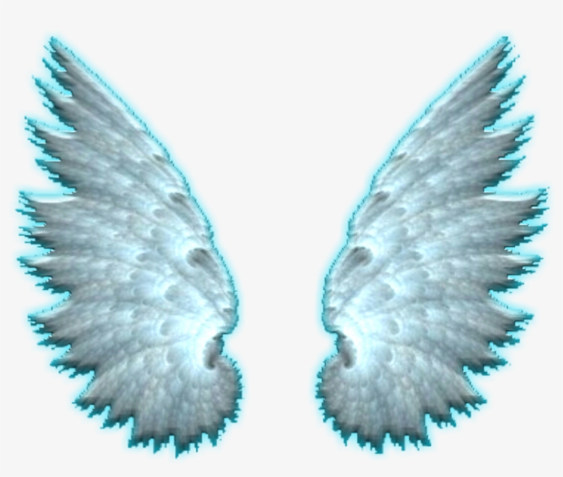 980 X 816 4 - Stock Dove, transparent png #9613200