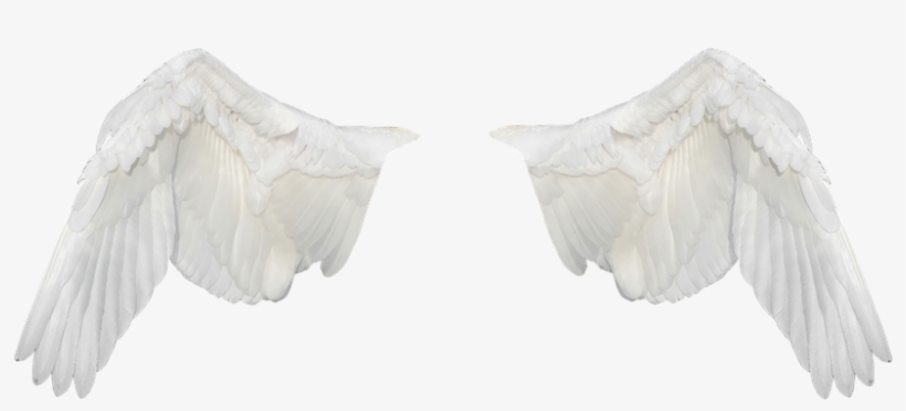 Alas Blancas Png, transparent png #9613293