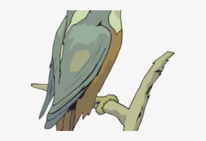 Kingfisher Clipart - Cartoon, transparent png #9613842