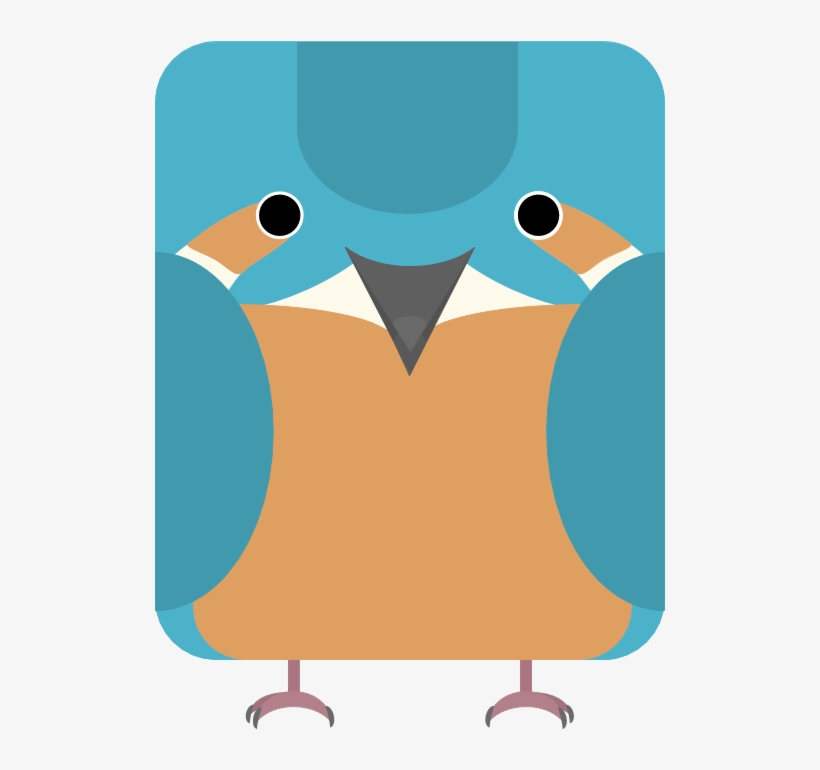 Kingfisher, transparent png #9614055